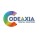 Codeaxia Digital Solutions Avatar