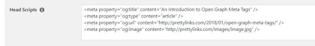 A meta tags example of a long Head Script on Pretty Links