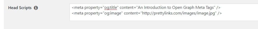 A meta tags example of a short Head Script in Pretty Links