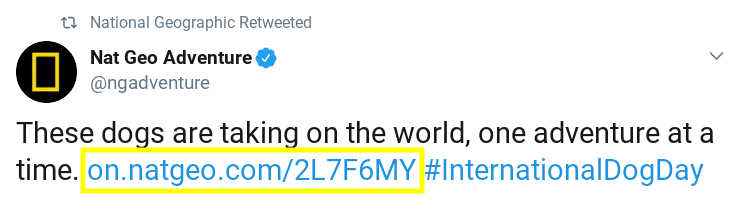 A tweet from National Geographic Adventure with a branded link.