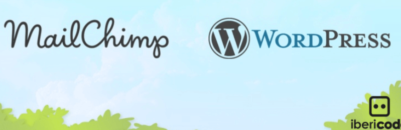 Mailchimp WordPress plugin.