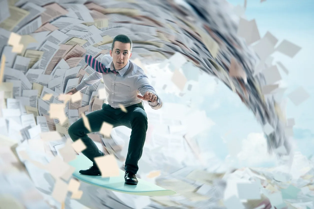 Navegar pelos documentos