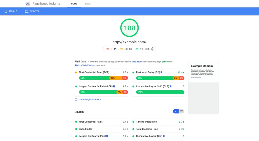 Google PageSpeed Insights results.