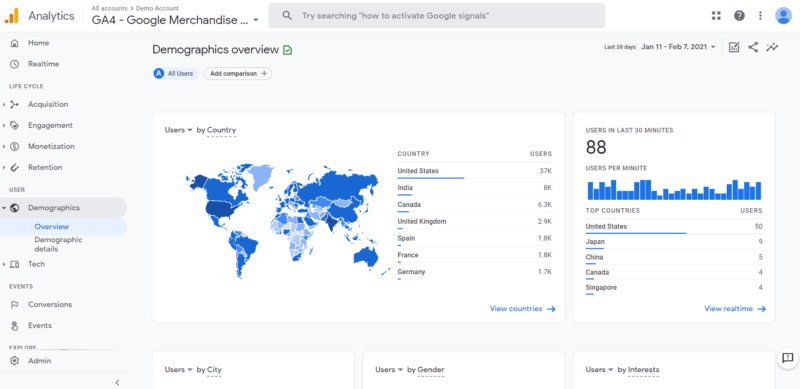 Un ejemplo de ficha demográfica de Google Analytics.