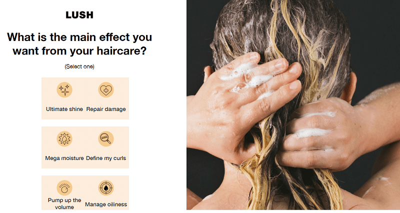 An example of an interactive Lush quiz.