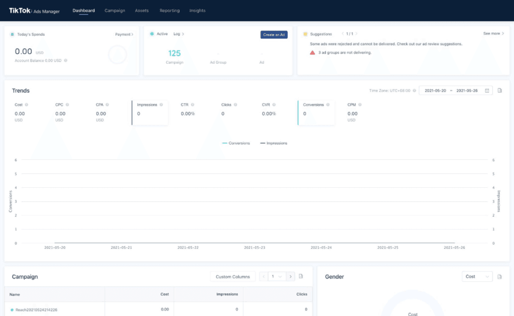 TikTok Ads Manager Business Dashboard.