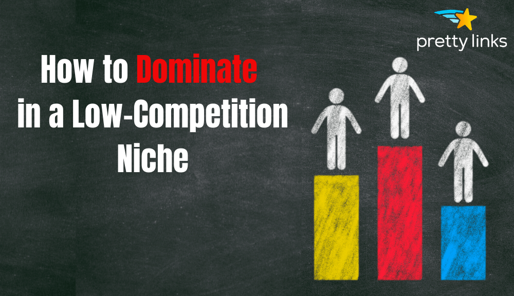 low competition niche_Pretty Links