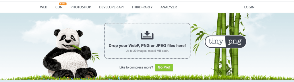 Use the TinyPNG WordPress plugin for better Image SEO