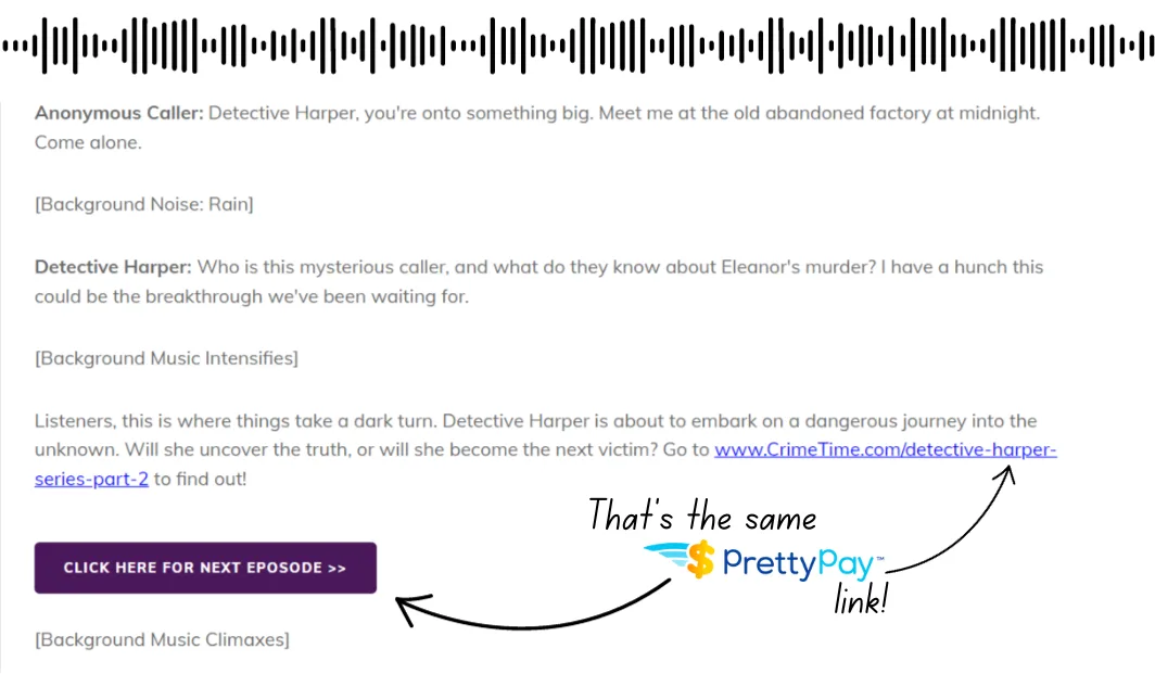 PrettyPay Link podcast transcript example