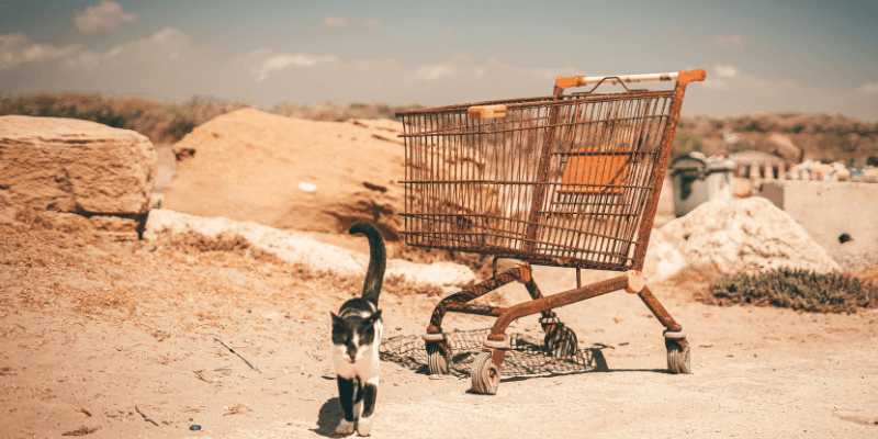 Abandoned Shopping Carts graphic