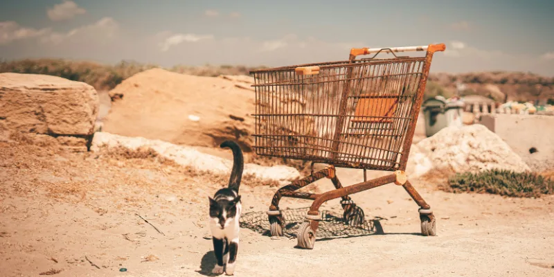 Gráfico de carros de la compra abandonados