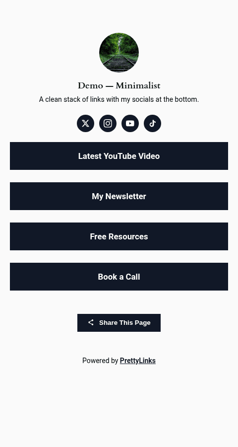 Interface do “Link in Bio” no celular — imagem de perfil, barra de redes sociais, conjunto de botões